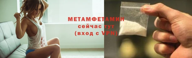 гидра Богородицк