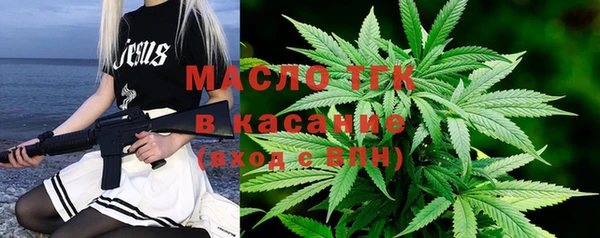гидра Богородицк