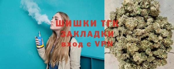 гидра Богородицк