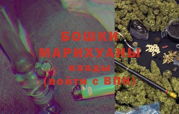 прущие грибы Кукмор
