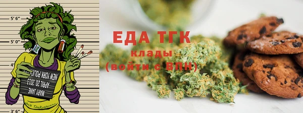гидра Богородицк